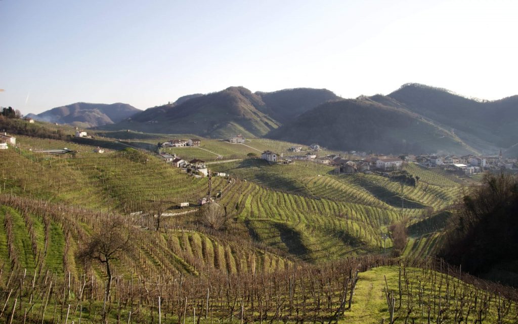 Not drinking sugary beverages helps Italians stay thin. Most beverages they do drink grow in vineyards, like this one in Valdobbiadene. ©KettiWilhelm2020