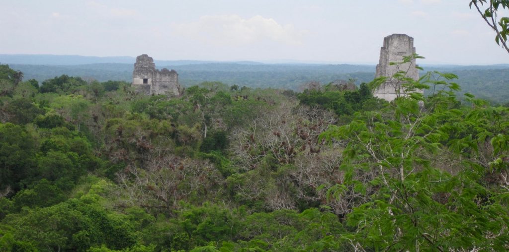 One of my favorite books for traveling vicariously takes readers to pre-Columbian Central America, like in this photo of Tikal, Guatemala. ©KettiWilhelm2010