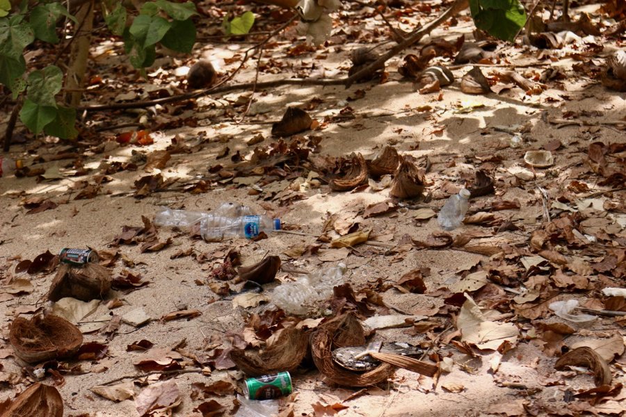 Plastic pollution in Thailand: A beach scattered with single-use plastics and other garbage, which is one of the sustainability problems with cruising. ©KettiWilhelm2020