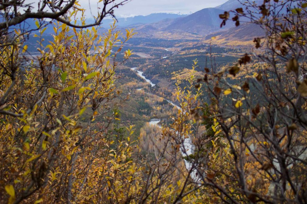 Autumn leaves and a bright, wide river valley in Alaska’s Chugach mountains, seen from the top of a hike, a few hours outside of Anchorage. ©KettiWilhelm2021