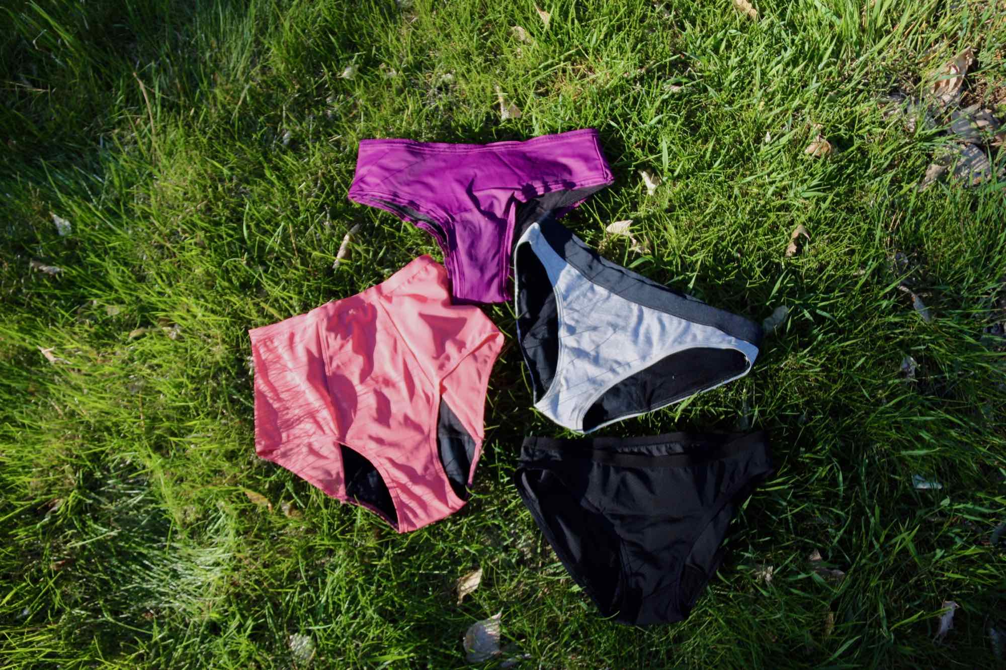 15 Best PFAS-Free and Organic Period Underwear, Reviewed! • Sustainably  Kind Living