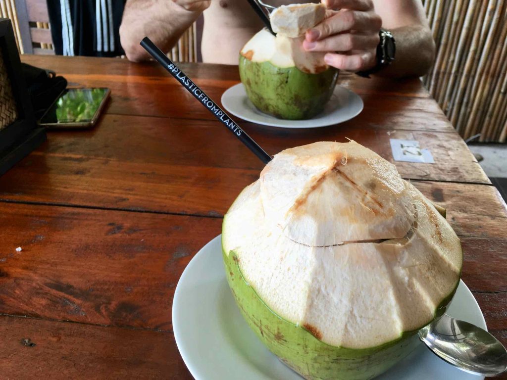 A plastic-free straw, made of plant-based bioplastic, sticks out of a fresh, green coconut. Saying no to straws is one easy tip for more sustainable travel. ©KettiWilhelm2021