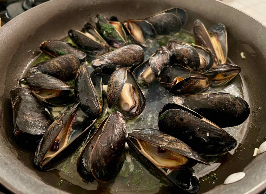 Mussels in a pan, after they have been steamed open, ready to continue the recipe. ©KettiWilhelm2022