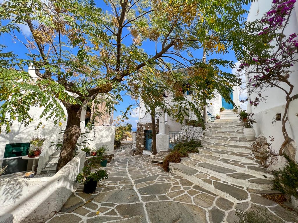 A view of the sidewalk in Lefkes, Greece, from under the branches of a tree with a bright blue sky behind. ©KettiWilhelm2022