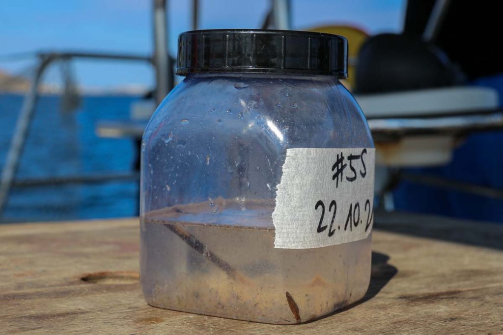 A clean looking water pollution sample, taken from near the Mediterranean island of Paros, Greece. ©KettiWilhelm2022