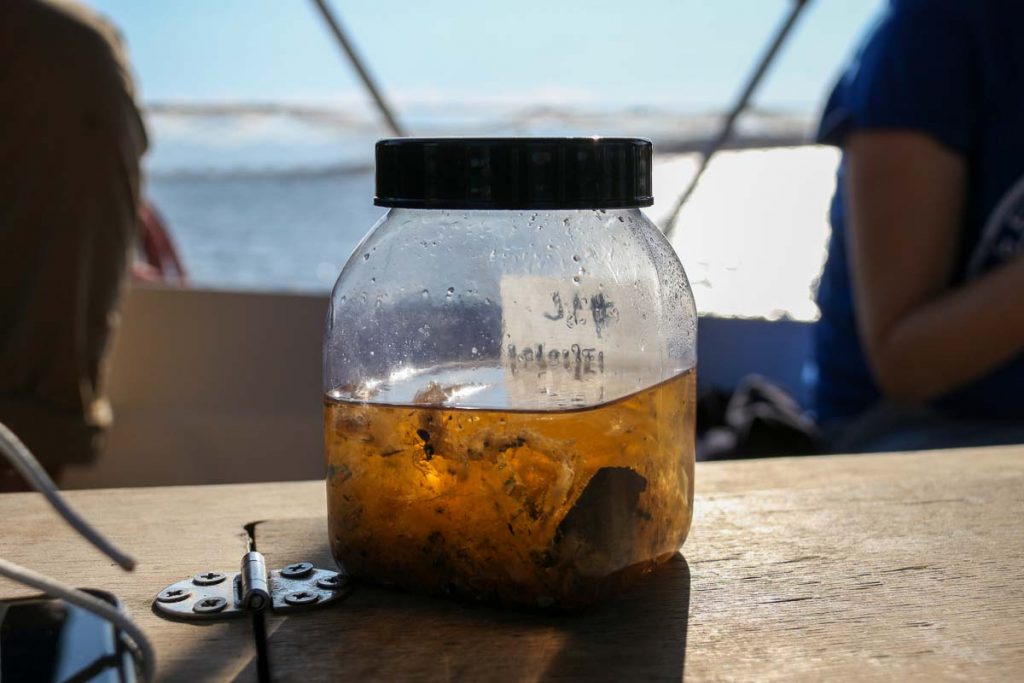 A dirty looking water pollution sample, taken from near the Mediterranean island of Paros, Greece. ©KettiWilhelm2022