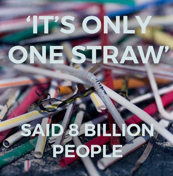 Meme with the words "'It's only one straw' said 8 billion people."