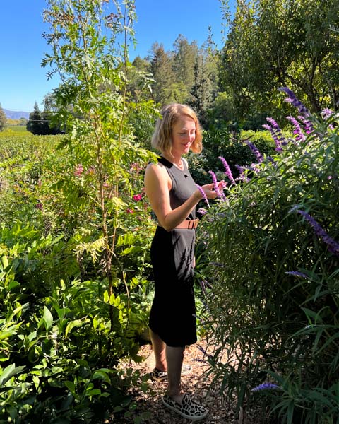The blogger at an organic winery in Napa Valley, wearing the Unbound Merino travel dress and Rothy's sneakers made of recycled materials. ©KettiWilhelm2022
