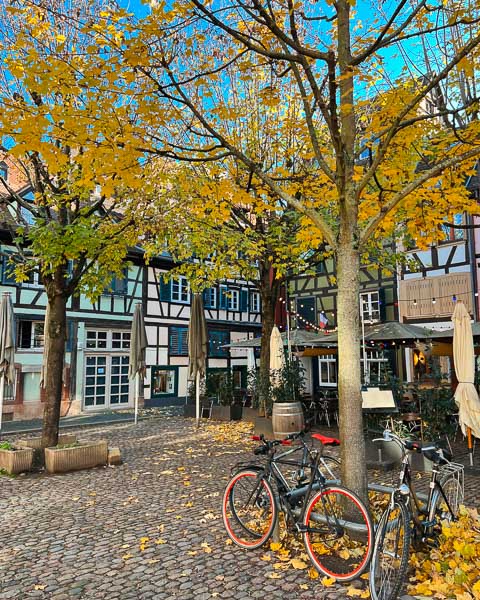 A picturesque plaza on Grade Île in Strasbourg, with autumn leaves falling to the cobblestones. ©KettiWilhelm2023