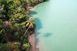An aerial view of a jungle in Thailand, with a thin strip of beach and a clean green ocean, to inspire more sustainable lifestyle changes as New Year's resolutions. ©KettiWilhelm2023