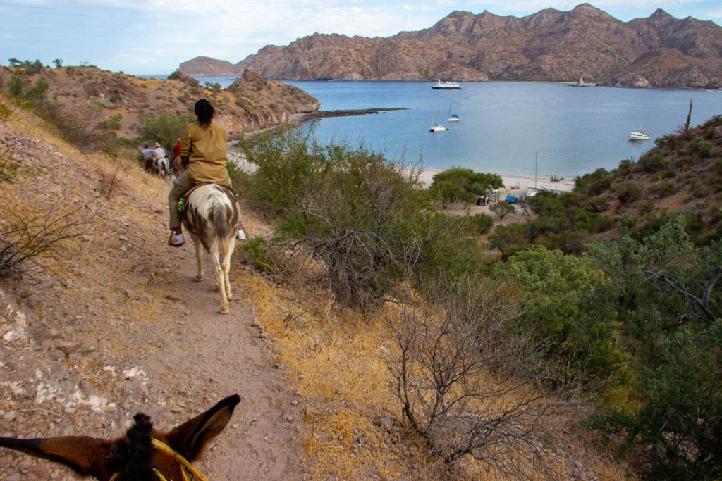 The view over Bahia Agua Verde from the back of a burro. ©KettiWilhelm2023