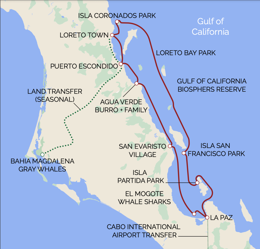 A map of the general route of the Safari Voyager on UnCruise Adventure’s Baja California trip in the Sea of Cortez, beginning in the town of La Paz, and sailing north toward Isla Partida, Loreto Bay, Puerto Escondido, Bahia Agua Verde, and other destinations, as described in this UnCruise Baja review.