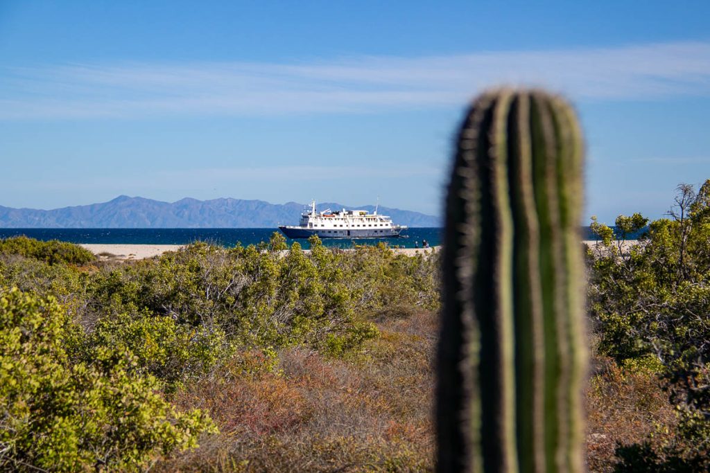 UnCruise’s small cruise ship the Safari Voyager in the Sea of Cortez, Baja California, with an iconic cactus in the foreground seen from a desert hike excursion. ©KettiWilhelm2023