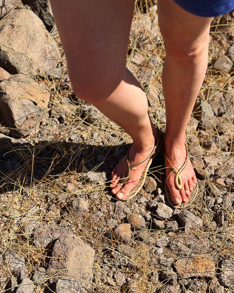 My feet a pair of strappy gold flip-flips – very inappropriate shoes for a desert hike in Baja California with UnCruise. ©KettiWilhelm2023