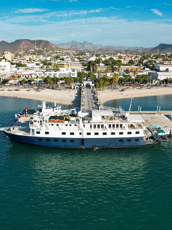 An Unforgettable Baja California Adventure (+ Why This is the Only Cruise I’ve Taken)