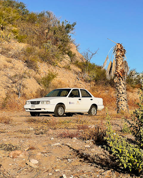 A lone taxi waiting for possible passengers one quiet, early morning in Puerto Escondido, Baja California. ©KettiWilhelm2023