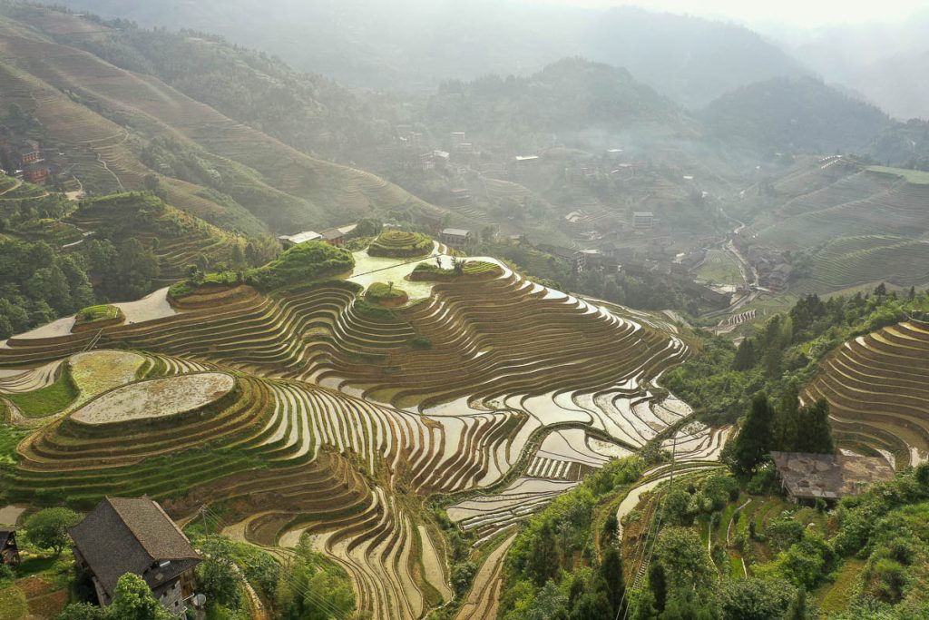 The ride terraces in Southern China where the Red Yao tribes farms rice, which is used in Viori rice shampoo bars.