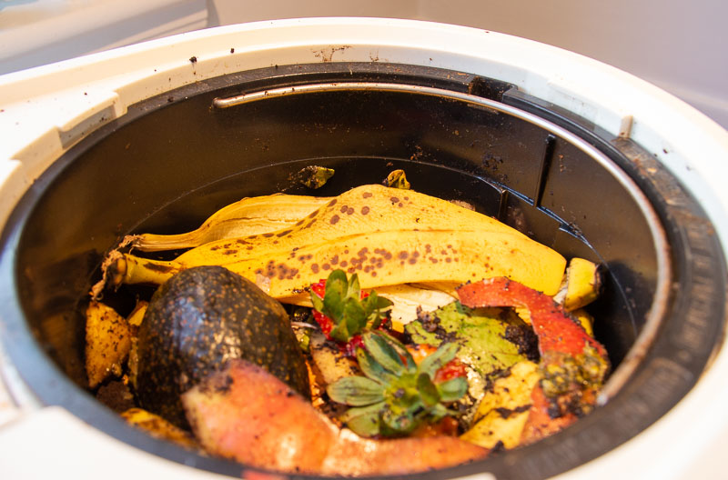 A banana peel, avocado skin, apple peels, watermelon rinds, coffee grounds, and other food scraps visible in the bucket of the Lomi composter machine, filled up to just below the fill line, or 75% of the bucket. ©KettiWilhelm2023