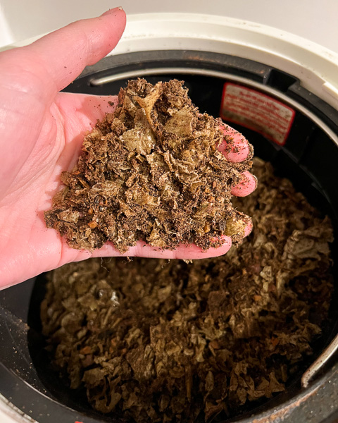 Fresh dirt from my Lomi countertop compost machine, reviewed here after a year of use! ©KettiWilhelm2024