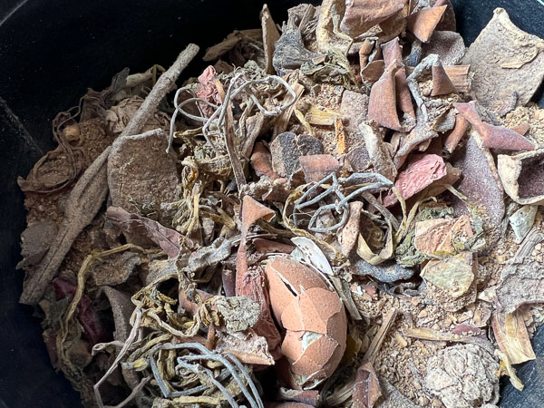 Dry composted Lomi dirt, with large chunks of eggshell, house plant trimmings, banana peels not yet thoroughly broken down. ©KettiWilhelm2023