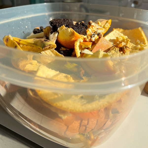 Banana peels, orange peels, coffee grounds, and egg shells ready to put into the Lomi composter. ©KettiWilhelm2023