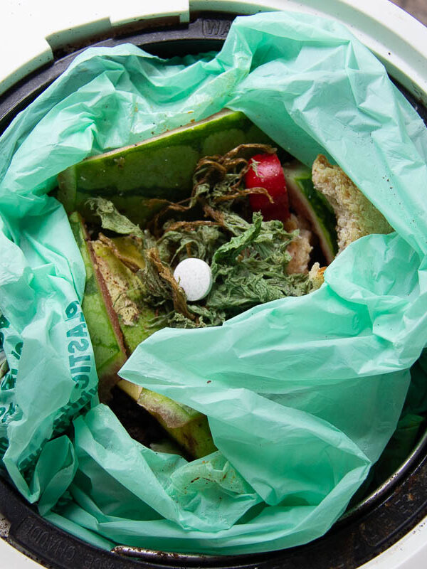 Lomi Composter: Pros, Cons & Lessons Learned (After 1 Year+ of Use)