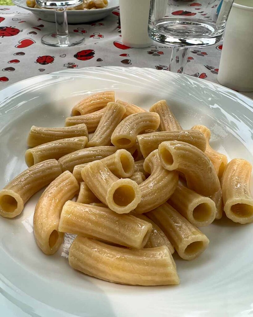 A plate of plain "pasta in bianco" prepared to eat with the fresh olive oil from the olive groves behind us at this stop on our electric bike tour in Italy's Marche region. ©KettiWilhelm2023