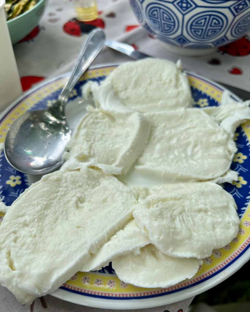 A plate of fresh, local Italian mozzarella to eat with the fresh olive oil from the olive groves behind us at this stop on our electric bike tour in Italy's Marche region. ©KettiWilhelm2023