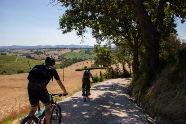 Two men ride e-bikes down a white road in the rural Marche region of Italy, with tress shading them on right and a view to the Adriatic Sea on the left. ©KettiWilhelm2023