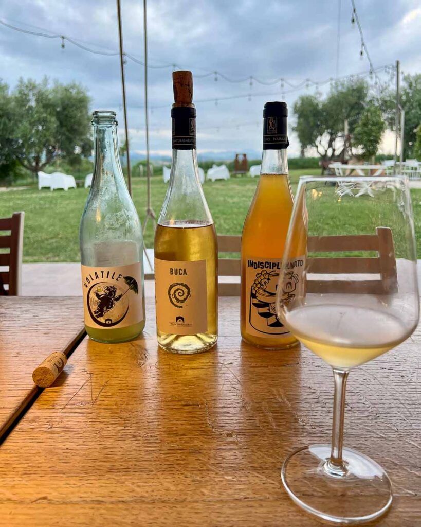 Bottles of local Marche wines at the organic and biodynamic winery Tenuta San Marcello, where we ate and slept on our ebike tour of this region of rural Italy. ©KettiWilhelm2023