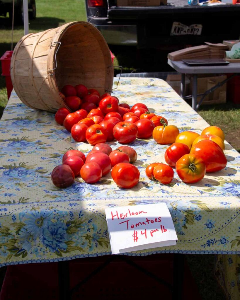 Organic tomatoes sit on a table at the Keene Valley Farmers’ Market in upstate Keene, New York with a sign saying the price is $4 per pound. ©KettiWilhelm2023