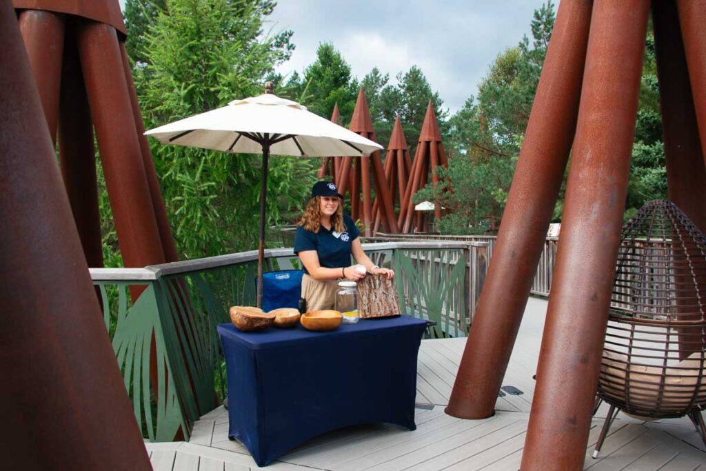 A well-trained museum employee at The Wild Center shows visitors how maple syrup is made at a booth set up on the outdoor Wild Walk exhibit. ©KettiWilhelm2023