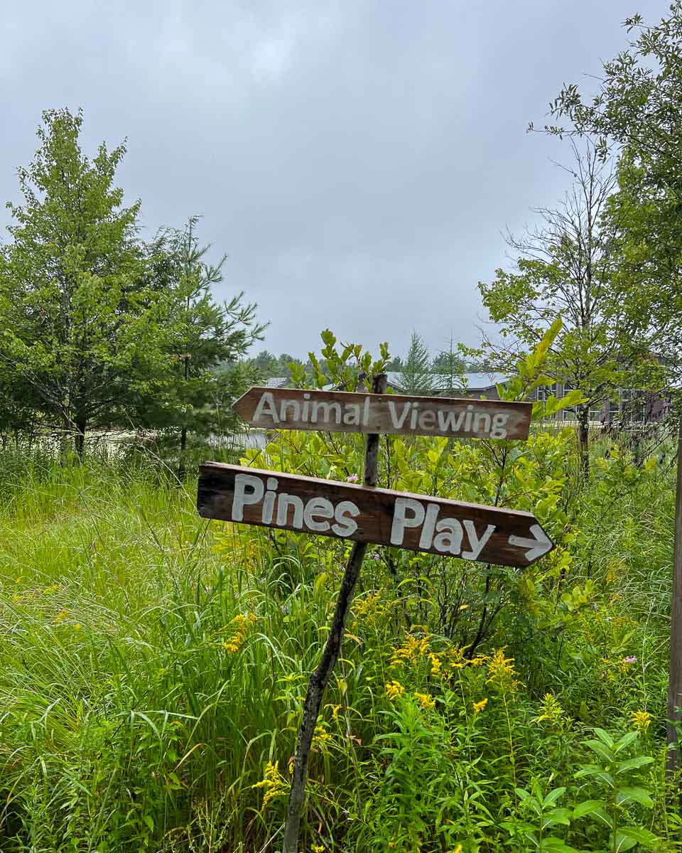 A sign points Wild Center visitors to Pines Play, the interactive outdoor play space for young kids. ©KettiWilhelm2023