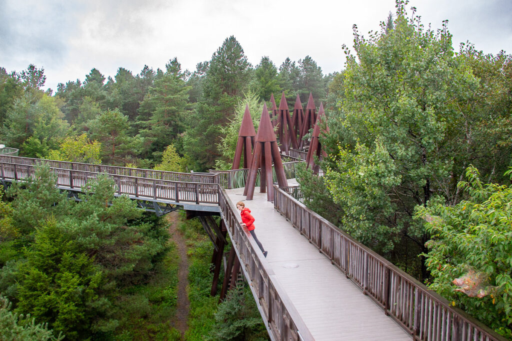 The author of this Adirondack weekend getaway itinerary, in an orange jacket, looking down from the platform of the Wild Walk, at the Wild Center, at the forest floor below. ©KettiWilhelm2023