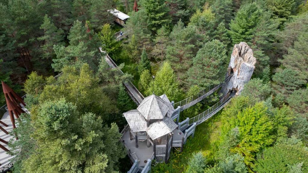 Looking down on the Wild Walk – one of the most unique and stunning features of The Wild Center, with bridges through the forest connecting platforms 30 feet off the ground that are designed to mimic the shapes of the trees. ©KettiWilhelm2023