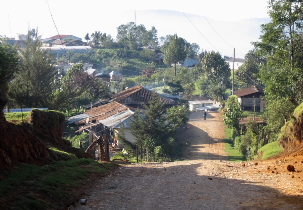 A dirt road in a small town in rural Guatemala, lined with trees and littered with garbage by the sides of the road. ©KettiWilhelm2023
