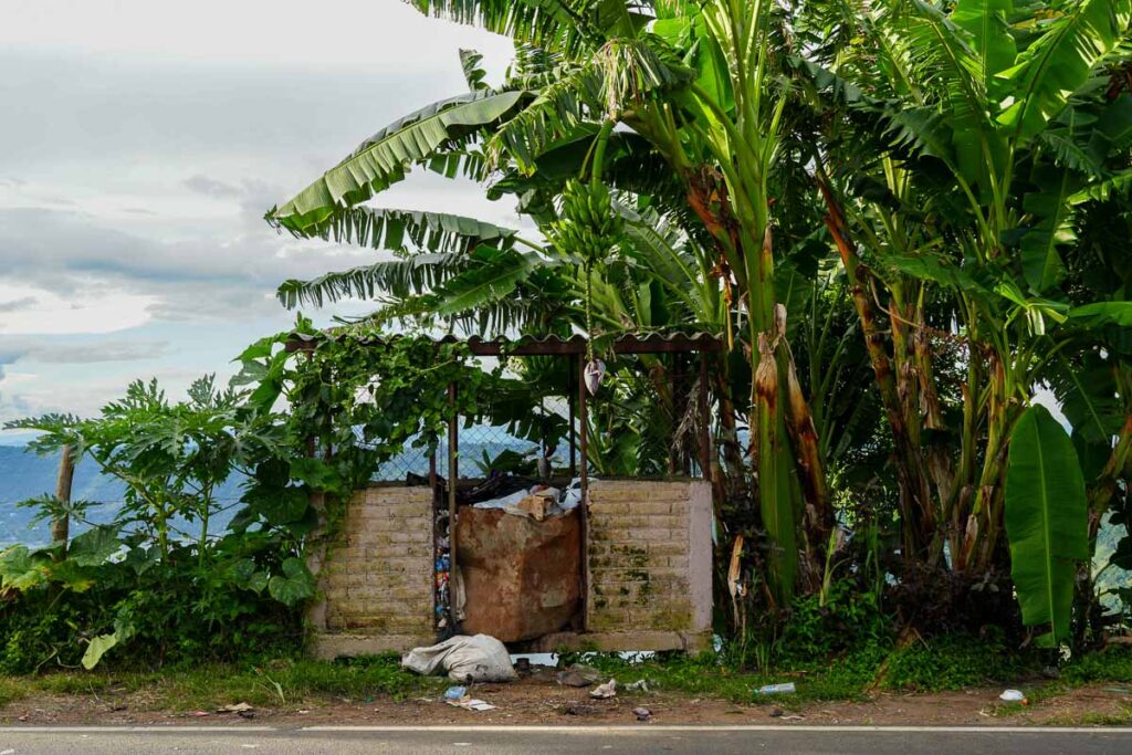 Roadside garbage bins overflowing under palm trees and banana plants, in front of Lake Coatepeque, El Salvador, in the distance. ©KettiWilhelm2023