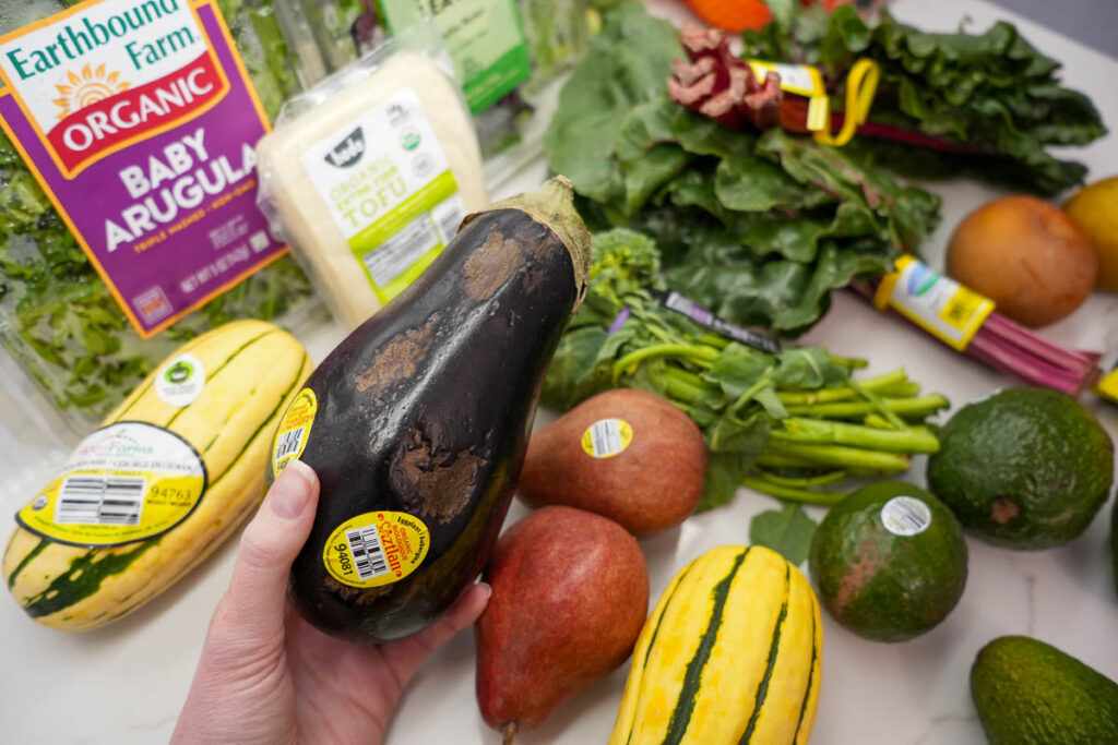 In the review writer’s hand: A perfectly good, organic eggplant from Misfits Market grocery delivery service covered in bruises, with lots of other, fresher looking produce items on the counter behind it. ©KettiWilhelm2024