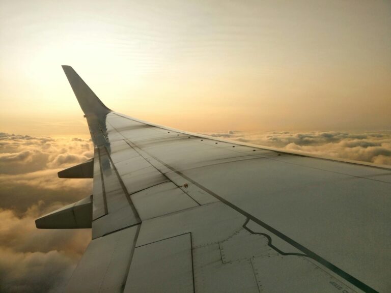 Do You Want to Know My Real Carbon Footprint From Flights? Here’s the Confession I Almost Didn’t Write